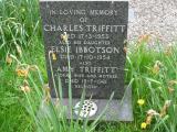 image of grave number 781361